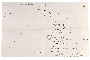 Bryant and May's Matchmakers' Strike Fund Balance Sheet, week ended 21 July 1888